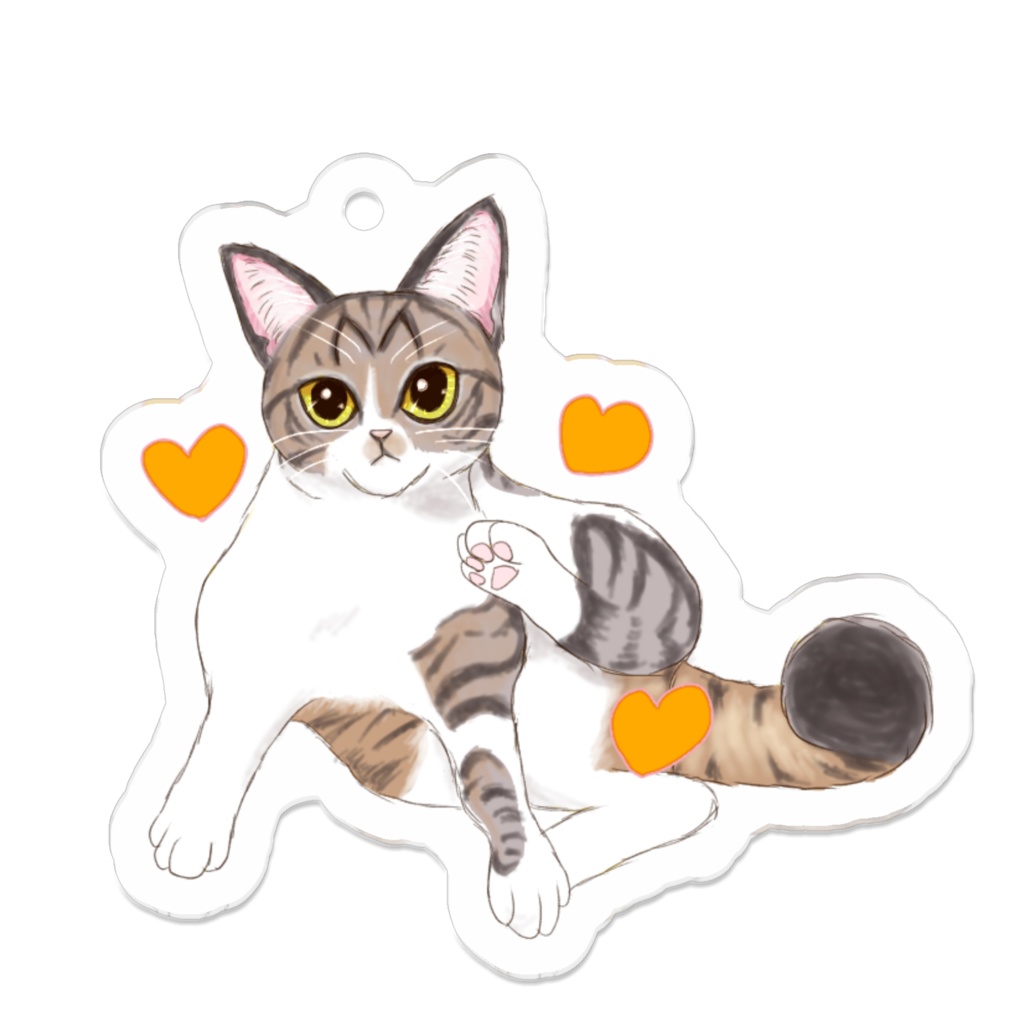 キジトラアクキー