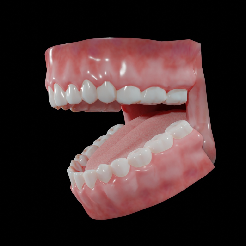 【3Dモデル】口の中モデル【口、歯、舌】