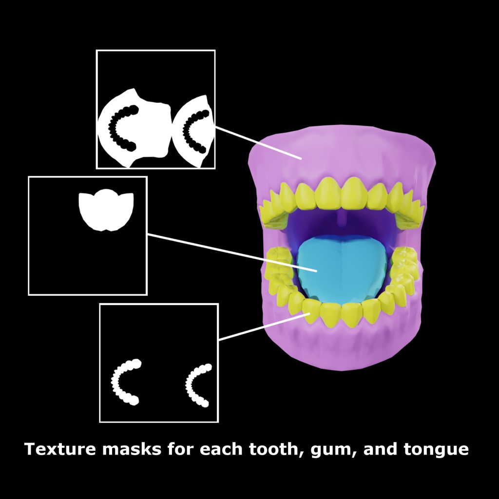 【3Dモデル】口の中モデル【口、歯、舌】