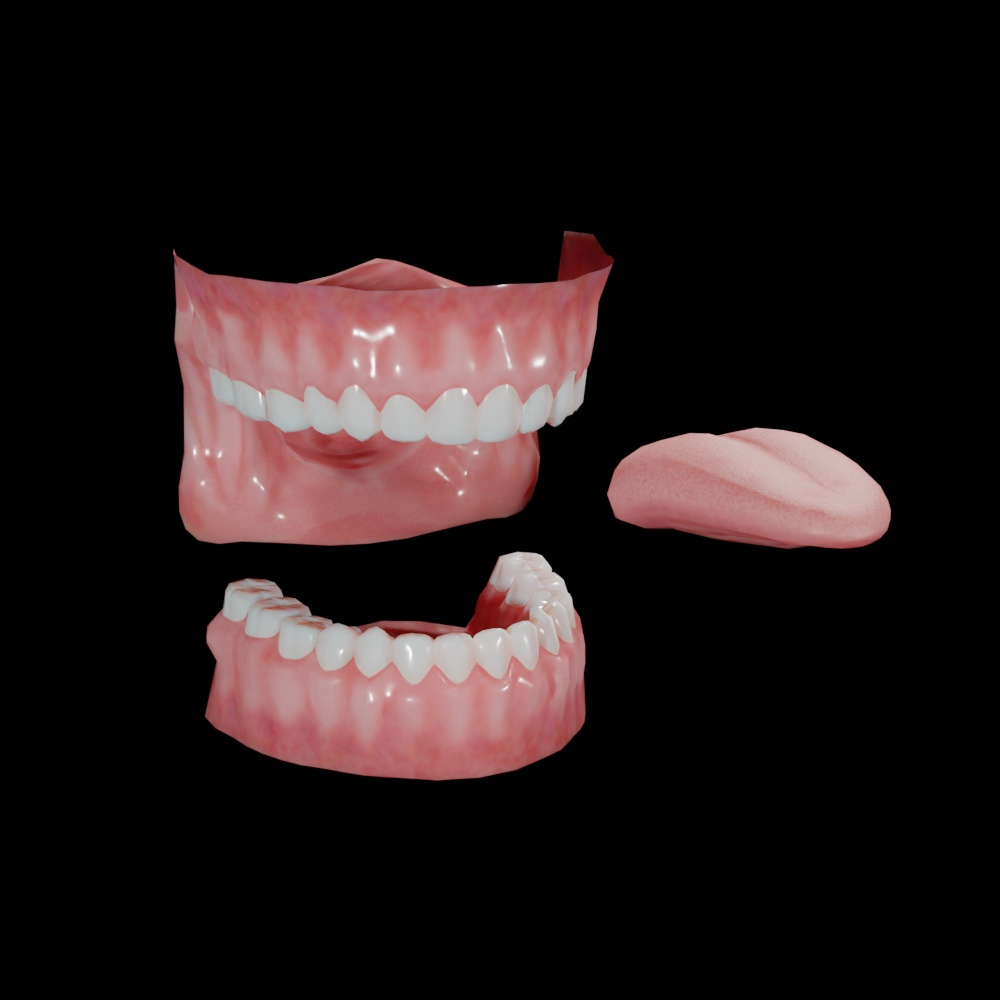 【3Dモデル】口の中モデル【口、歯、舌】