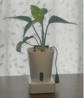 ソーラー観葉栽培器