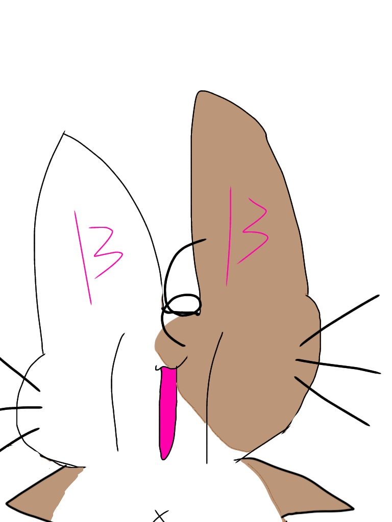 💫 - ねこたるものぉ! - 🐾 - シンプルペンケース ホワイト -