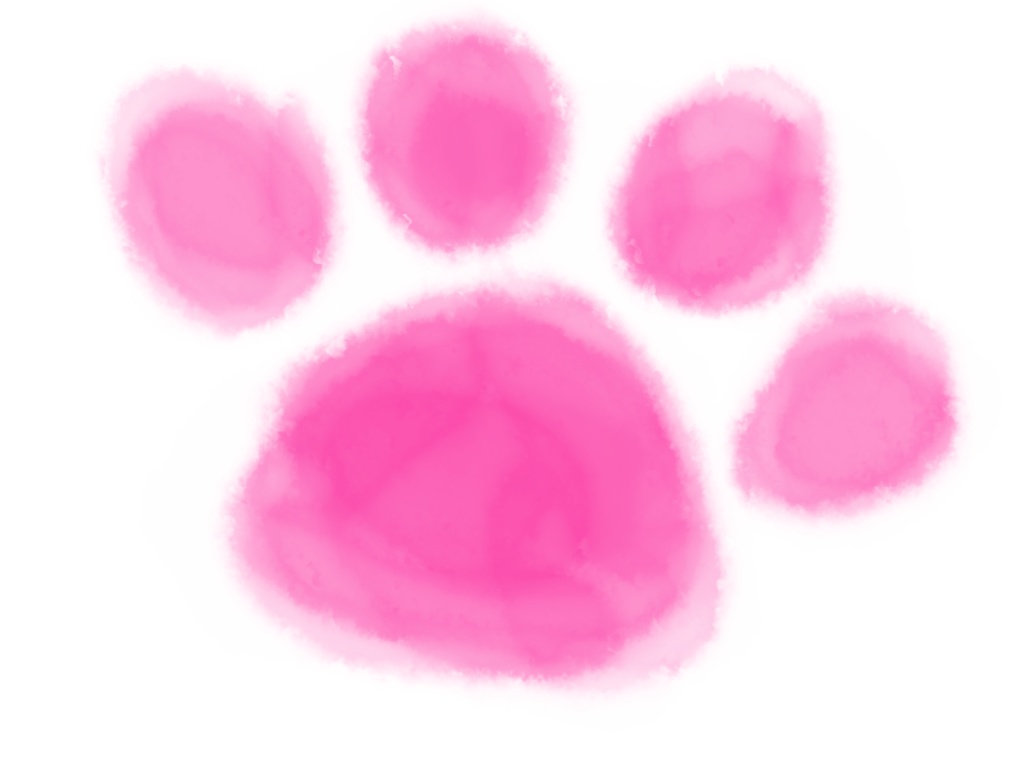 💫 - ねこたるものぉ! - 🐾 - シンプルペンケース ホワイト -