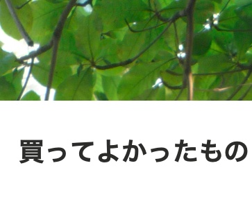 【Notionテンプレート】買ってよかったもの&モノ管理ライフログ|愛用品・レビュー・購入履歴を一括管理【初心者向け】