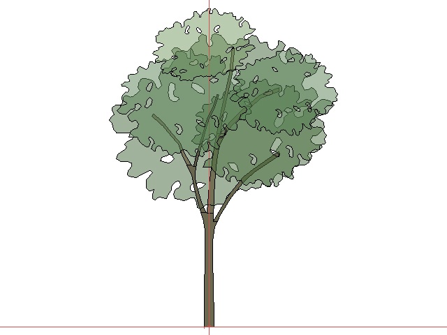3D モデルデータ　tree01