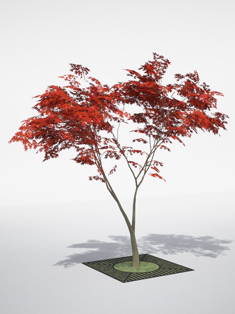 3D モデルデータ  momiji01