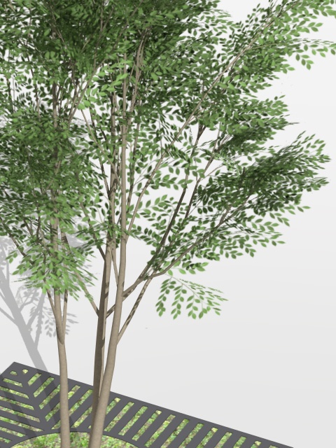 3D モデルデータ shimatoneriko01