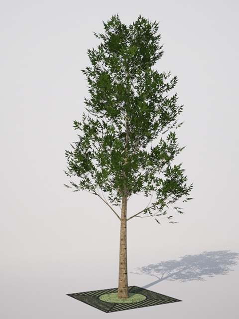 3D モデルデータ  shirakashi01