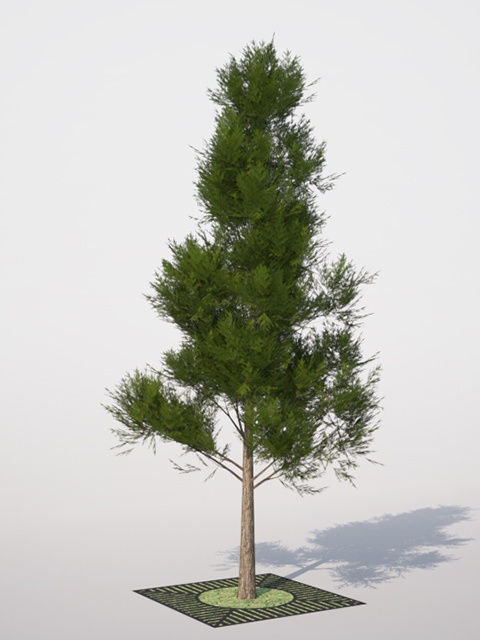 3D モデルデータ  sugi01