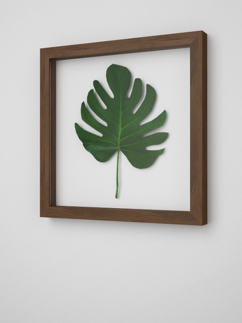3D モデルデータ　picture_frame_monstera_free