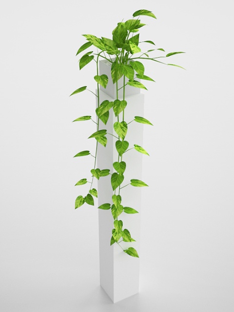 3D モデルデータ　planter_pothos_golden