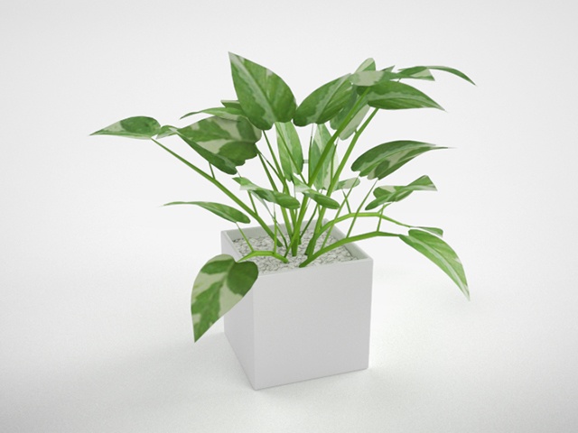  3D モデルデータ　 planter_pothos_Njoy01