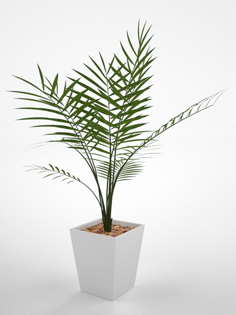 3D モデルデータ  　 planter_parlor_palm01
