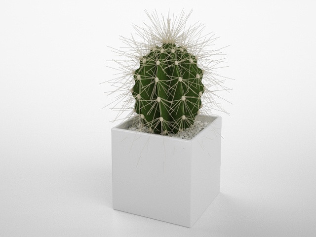 3D モデルデータ　planter_cactus01