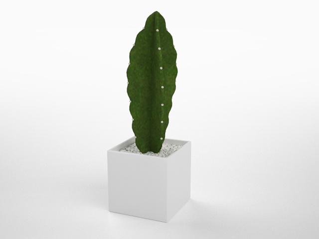 3D モデルデータ　planter_cactus02
