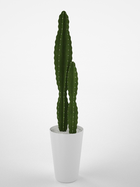 3D モデルデータ　planter_cactus03