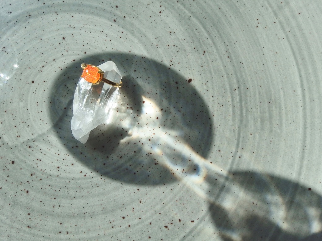 燦画の獅子 -さんがのしし-