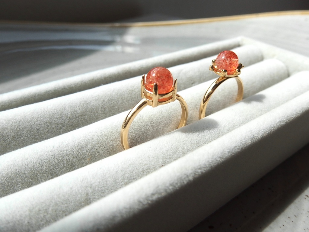 燦画の獅子 -さんがのしし-