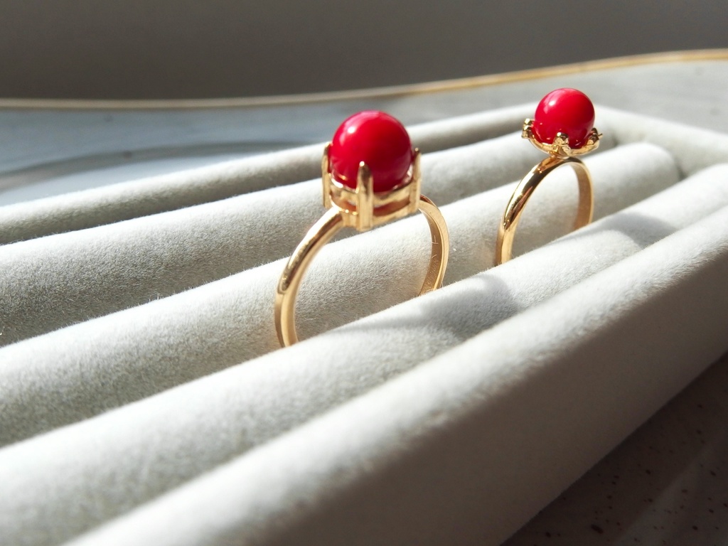 紅繍の蟹 -くしゅうのかに-