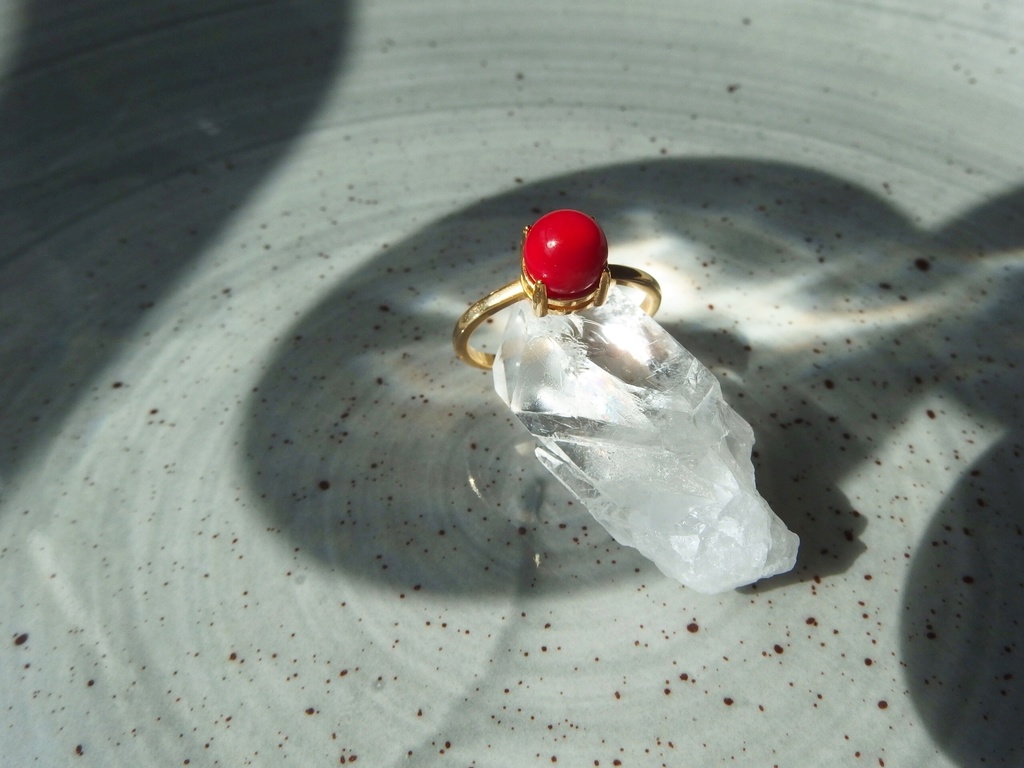 紅繍の蟹 -くしゅうのかに-