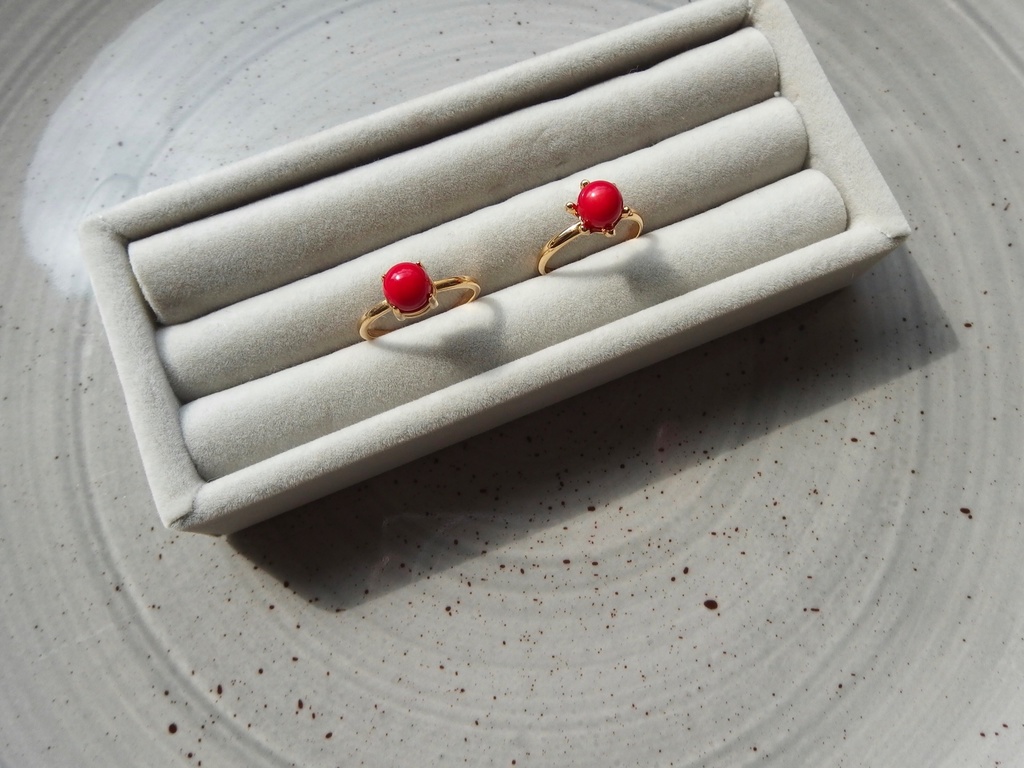 紅繍の蟹 -くしゅうのかに-