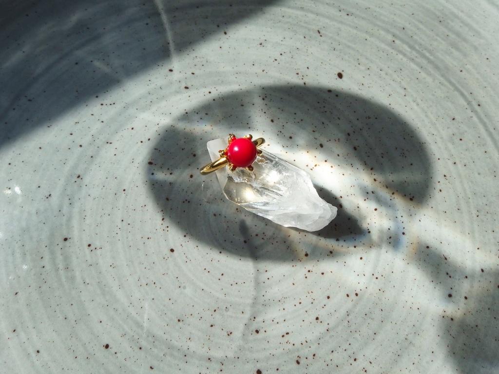 紅繍の蟹 -くしゅうのかに-