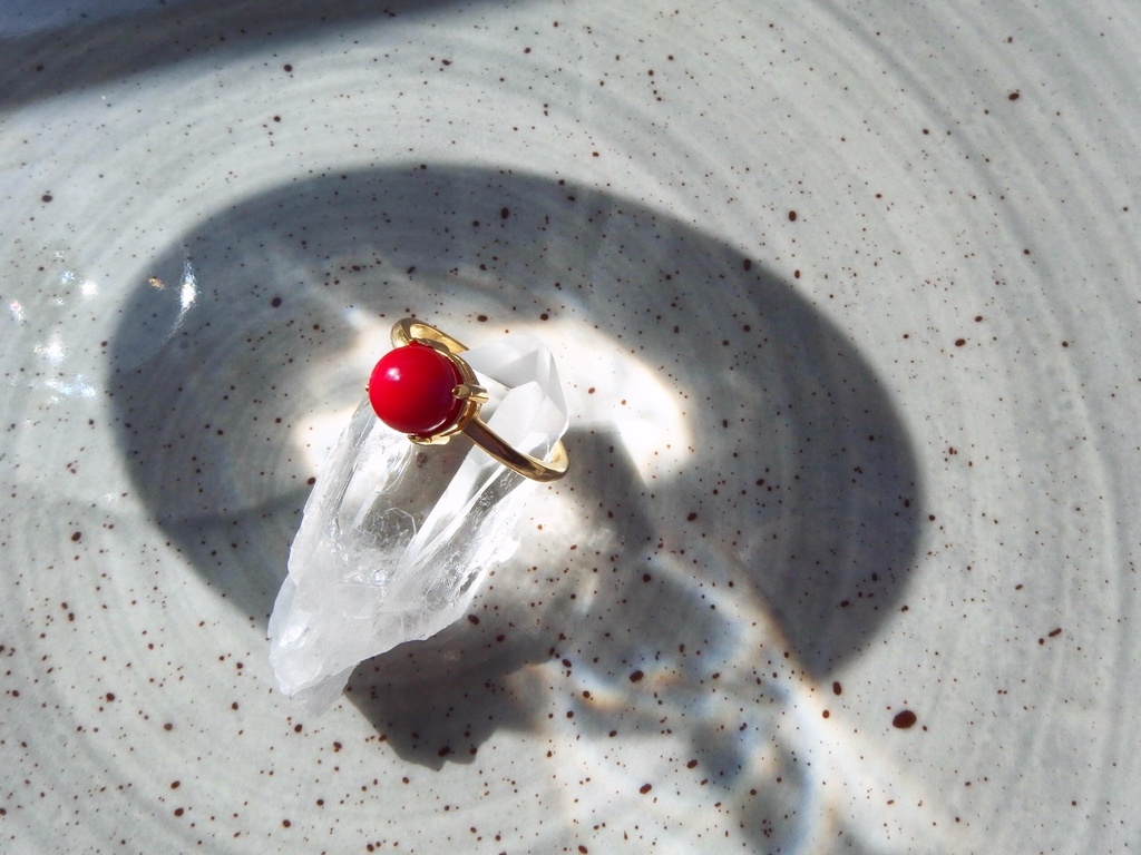 紅繍の蟹 -くしゅうのかに-