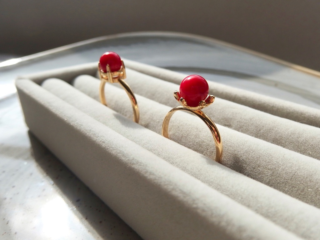 紅繍の蟹 -くしゅうのかに-