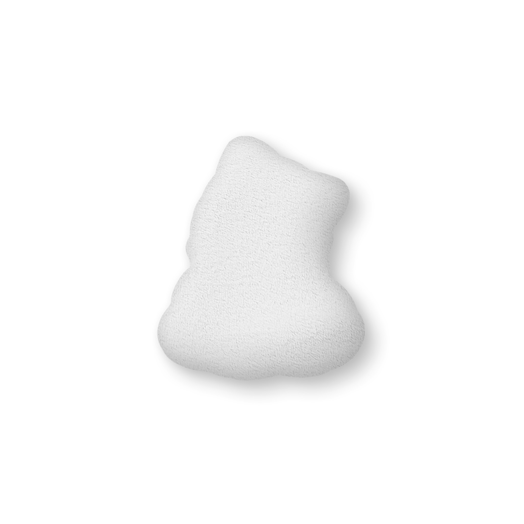 活動2周年記念クッション