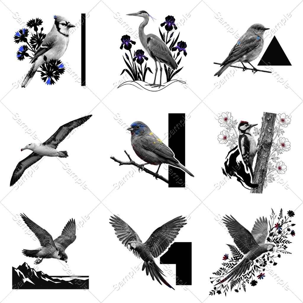 【透過30点】鳥の装飾素材セット|モノクロ幻想風(ココフォリア/TRPG/装飾)