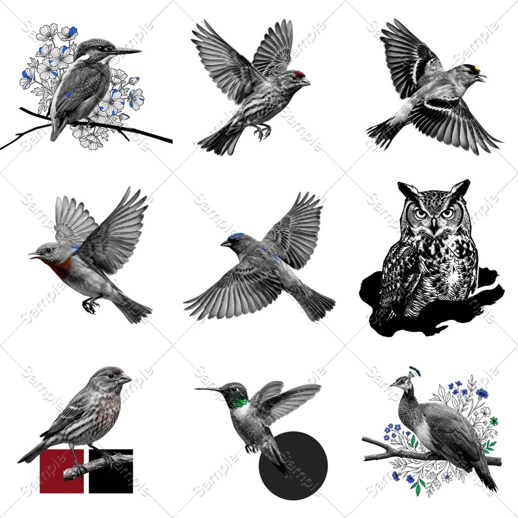 【透過30点】鳥の装飾素材セット|モノクロ幻想風(ココフォリア/TRPG/装飾)