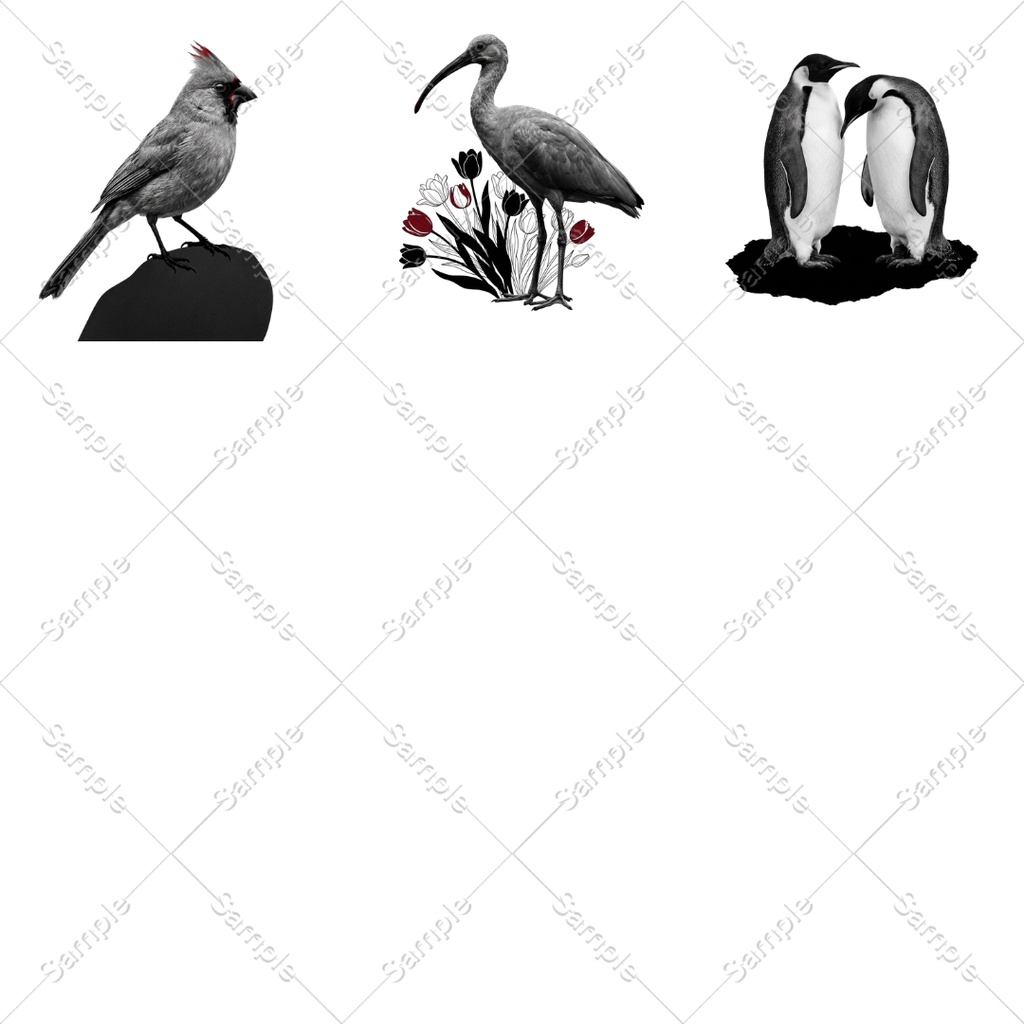 【透過30点】鳥の装飾素材セット|モノクロ幻想風(ココフォリア/TRPG/装飾)