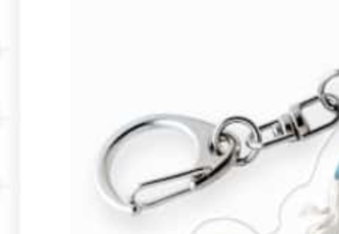 リノバスアクキー(キラキラ)