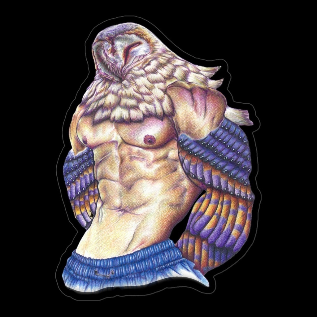 能ある梟は腹筋を出す