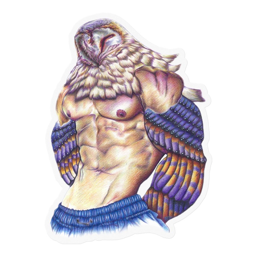 能ある梟は腹筋を出す