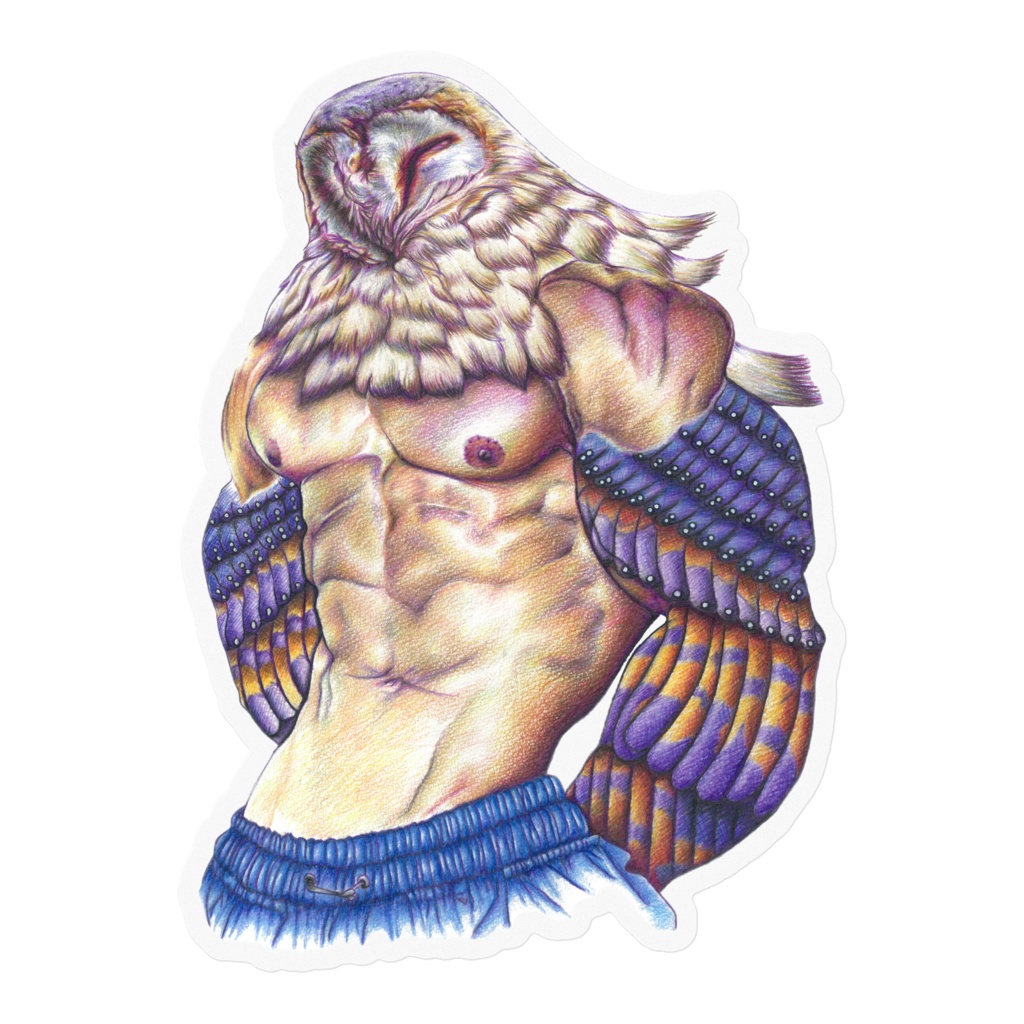 能ある梟は腹筋を出す