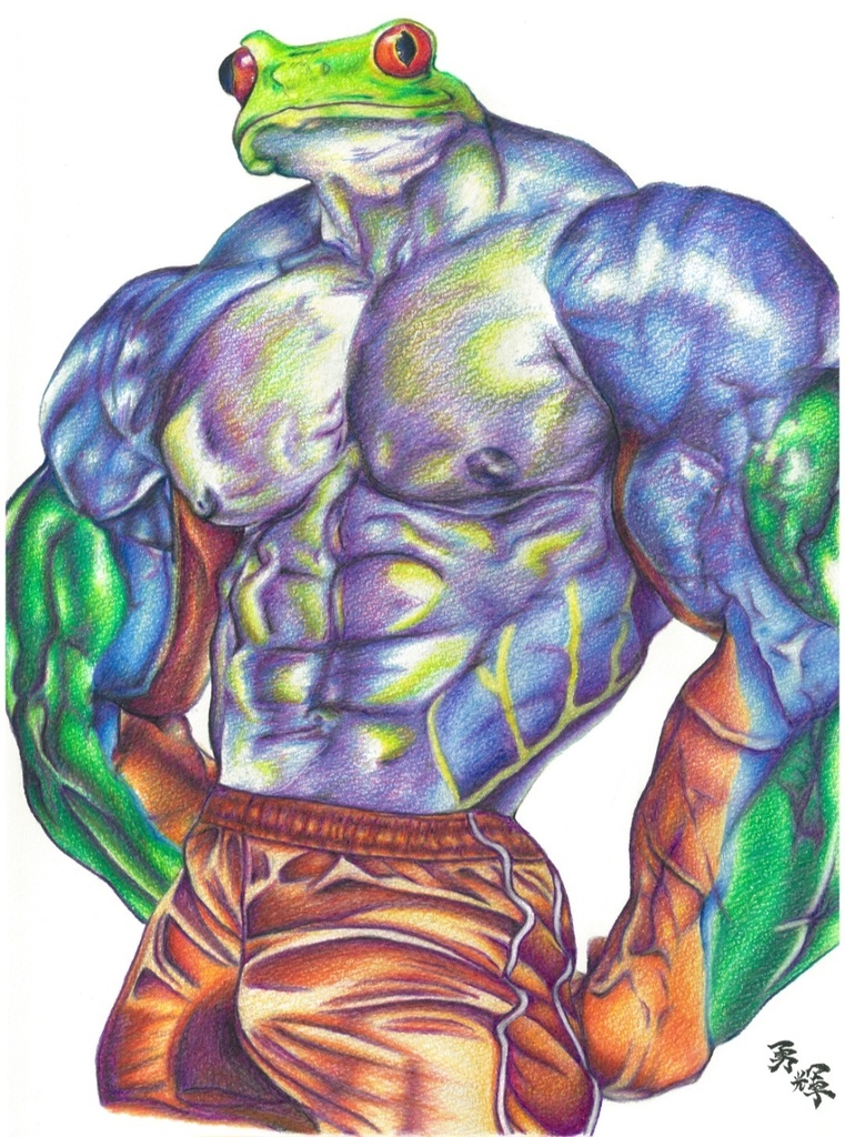 マッチョな蛙やけど何か？(It’s a muscular frog, but does it have something to say?)