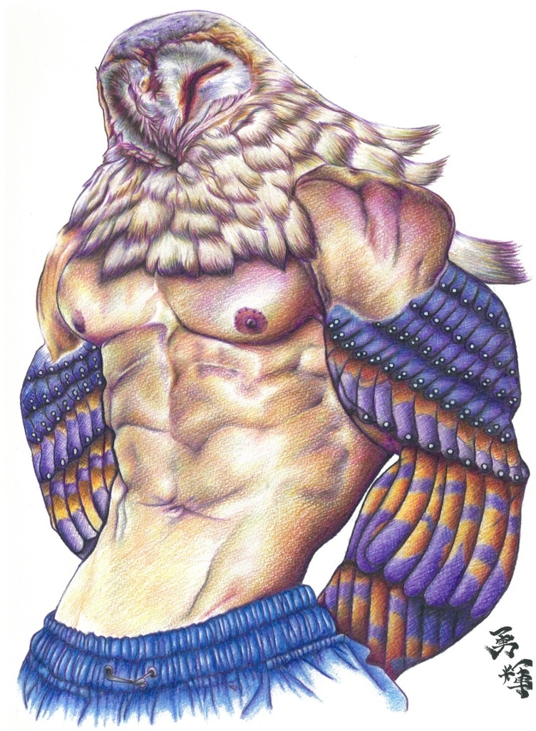 能ある梟は腹筋を出す(A wise owl shows off its abs.)