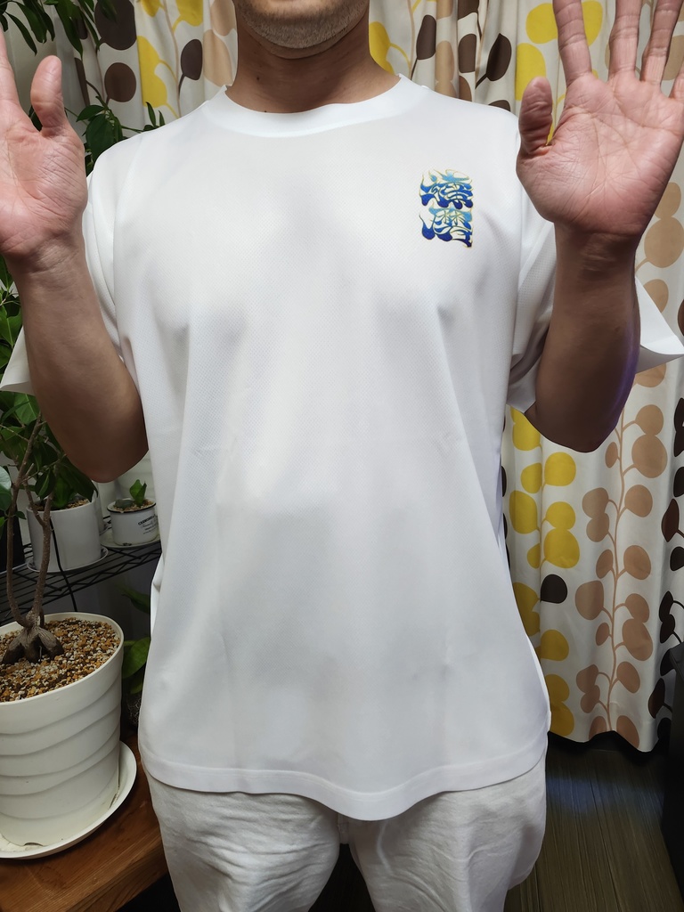 青達磨(Blue Daruma)