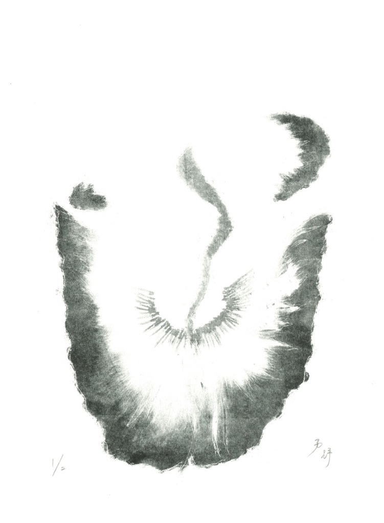 虎蝶尾No.1(Tiger-butterfly tail No.1)
