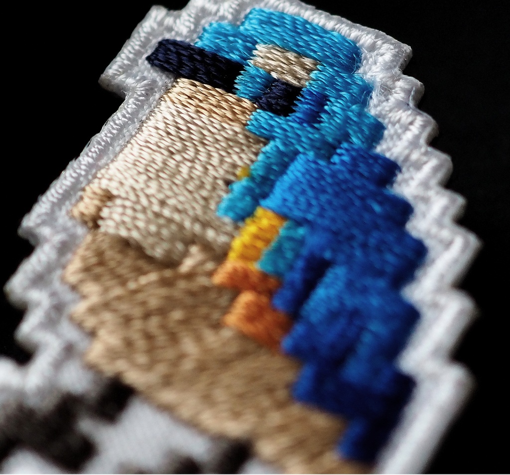 SPECIMEN OF A SMALL BIRD 小鳥の標本箱