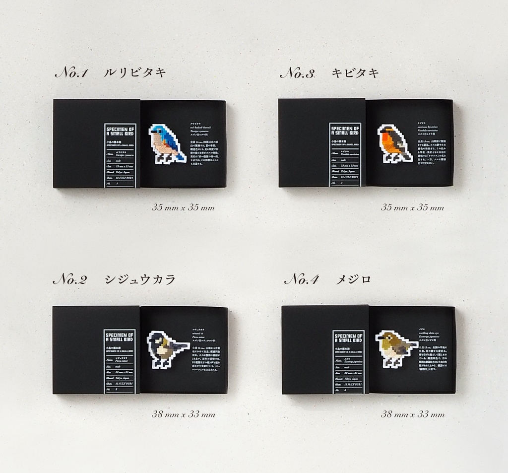 SPECIMEN OF A SMALL BIRD 小鳥の標本箱