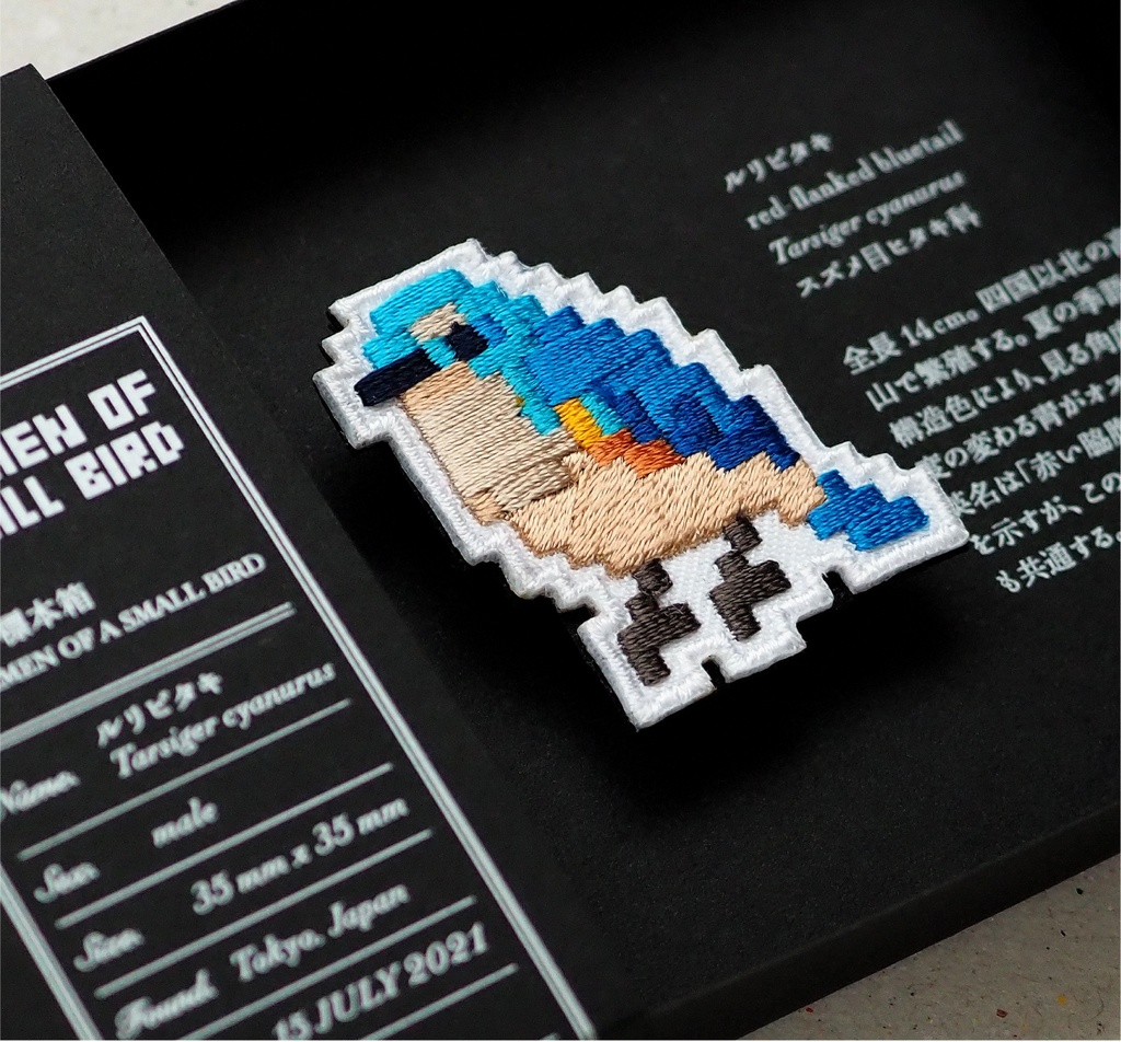 SPECIMEN OF A SMALL BIRD 小鳥の標本箱