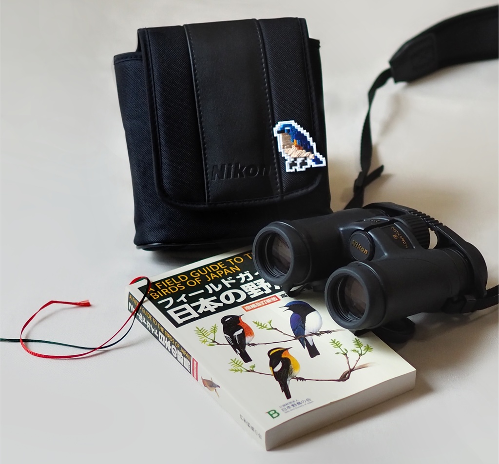 SPECIMEN OF A SMALL BIRD 小鳥の標本箱