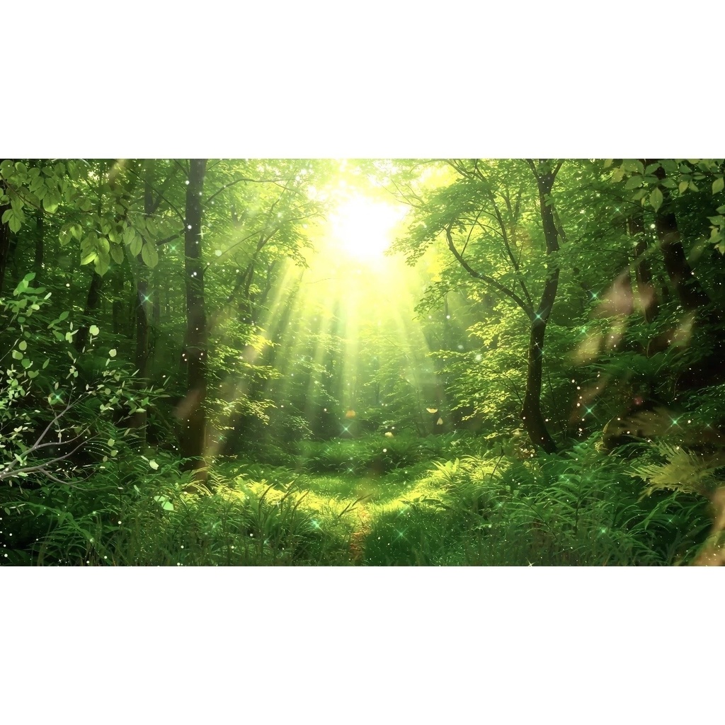 光が差し込む美しい森の動画素材