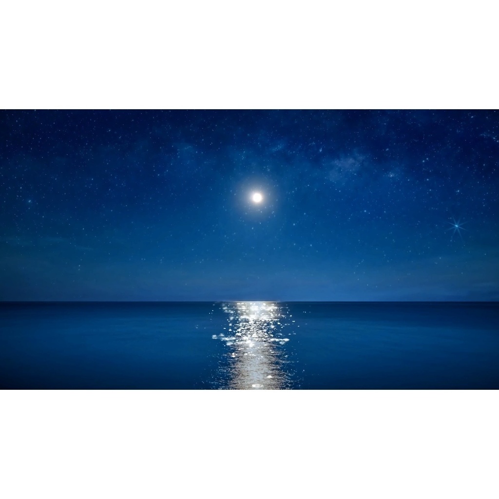 月明かりに照らされた夜の海動画素材