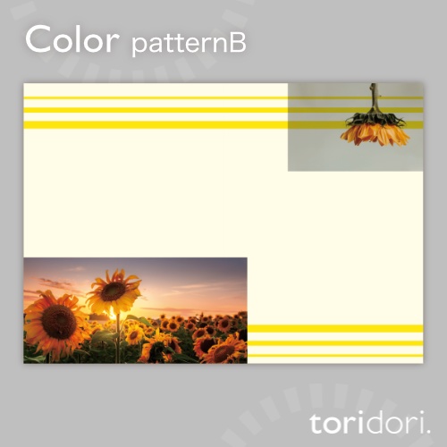 【A5】同人誌表紙素材【0050NY】