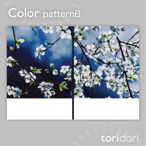 【A5】同人誌表紙素材【0107MY】