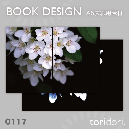 【A5】同人誌表紙素材【0117MY】
