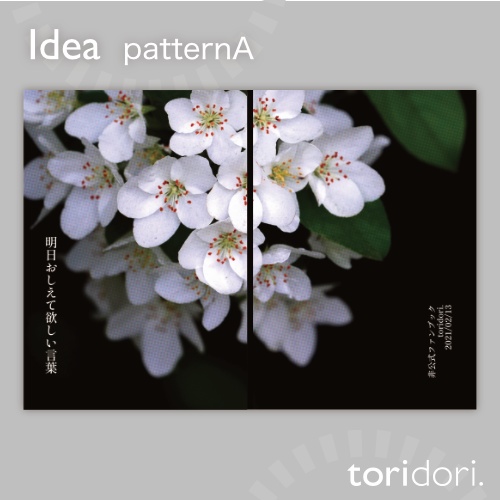 【A5】同人誌表紙素材【0117MY】